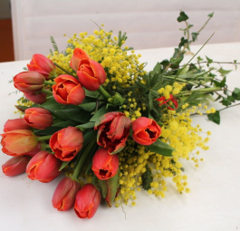 Bouquet tulipani colorati e mimosa -NON DISPONIBILE